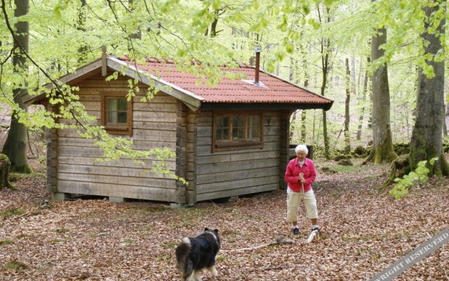 Bokebacken Forest Hotel