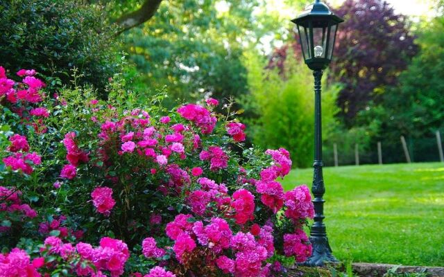 Au Manoir des Forges