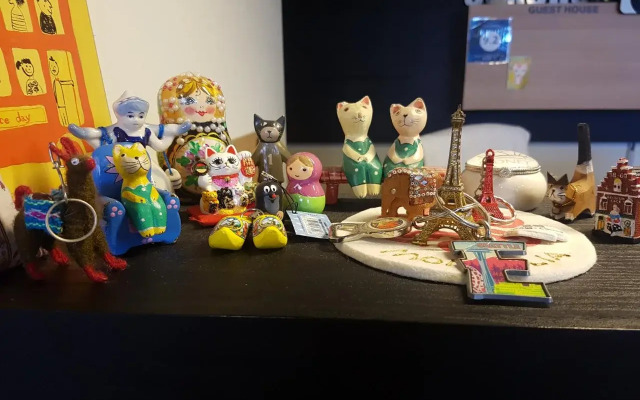 Sokcho & Guesthouse