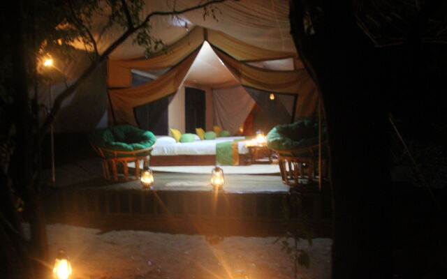 Wilderness Camping Yala