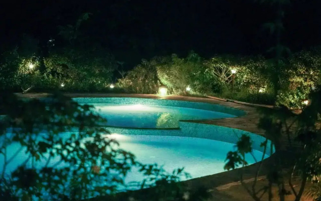 The Earth At Ranthambore