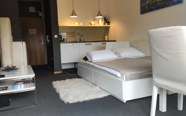 Studio apartment "Iris"