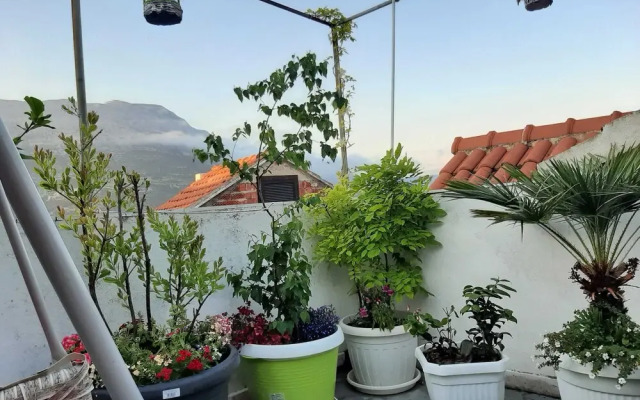 Guest House Jungher