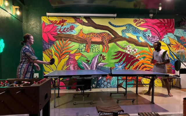 Forrest Hostels