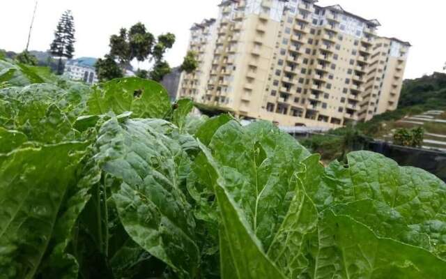 Aaron Apartment at Crown Imperial