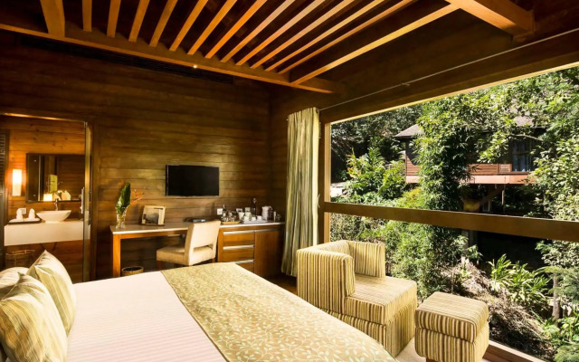 The Tamara Coorg