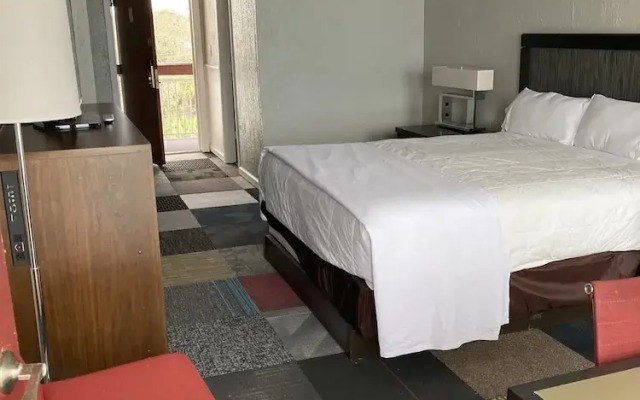Oasis Hotel