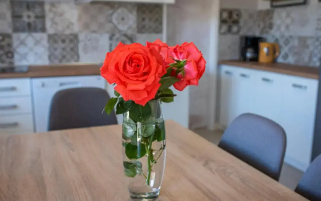 Apartmani Nana Mija