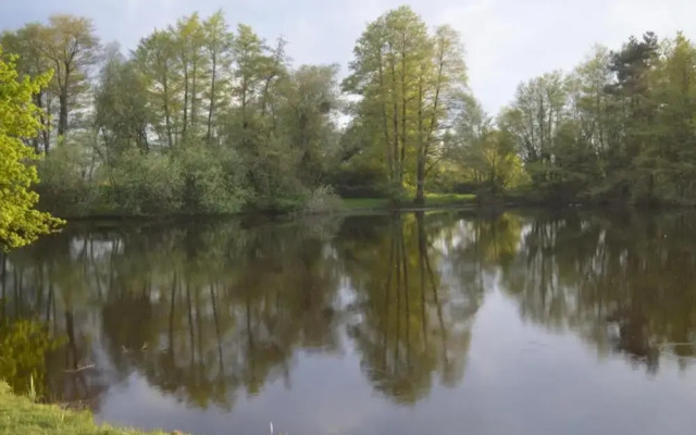 Mobile Home in Loire With Pool
