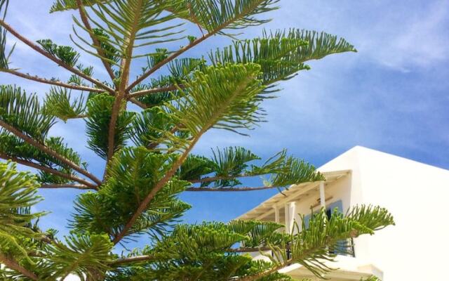 Mare Monte Studios