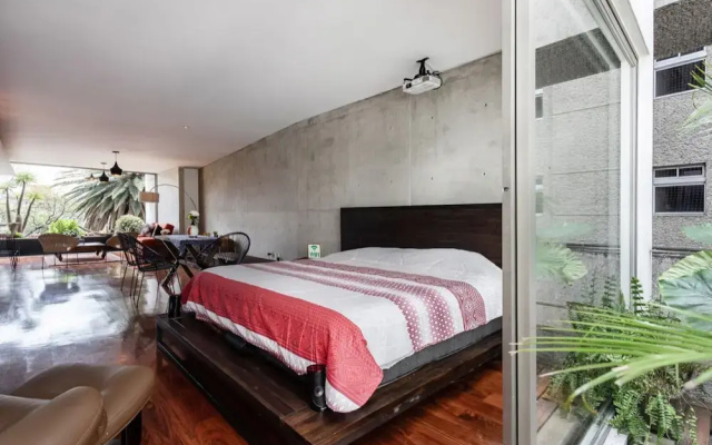 Destination Condesa @Tamaulipas Loft
