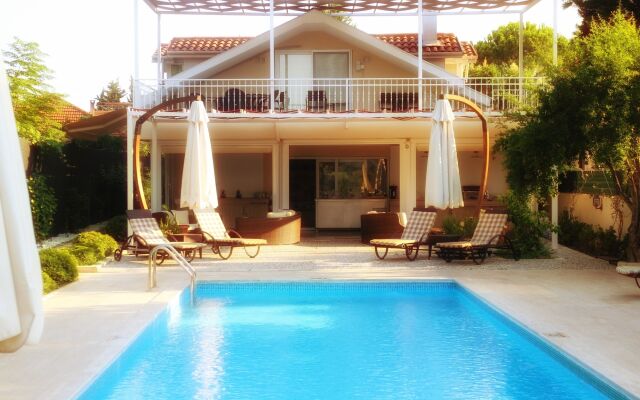Arp Dalyan