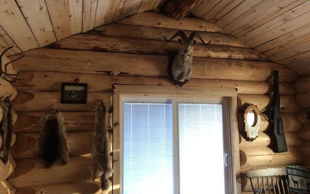 Wrangell Mountain Lodge