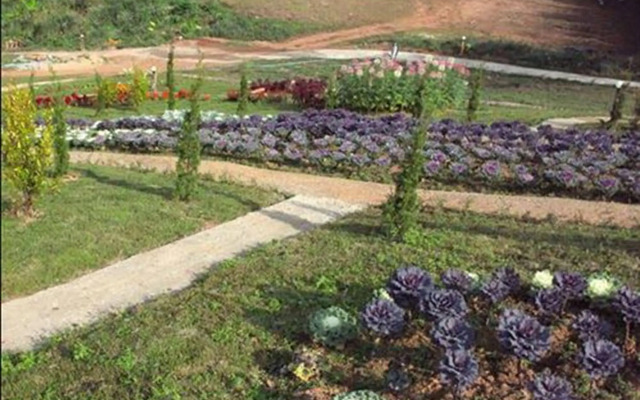 Phu Mok Dok Mai Resort