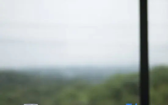 Yuyao Old Shen's Tea House