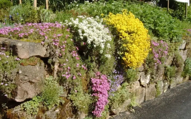 Oberrain in het "vakantiehuis Schenk"