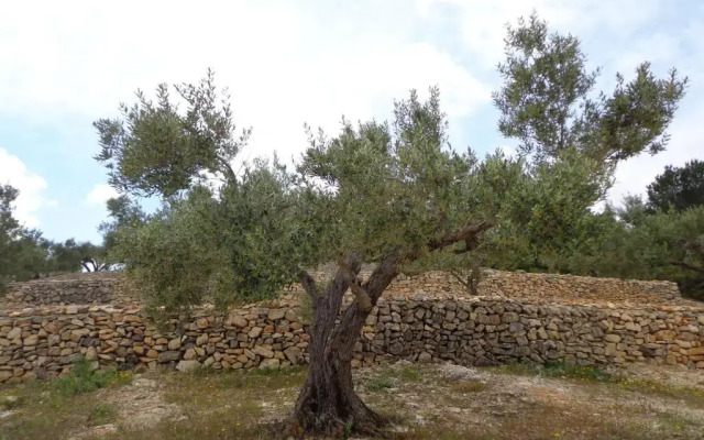 Apartamento Tramuntana
