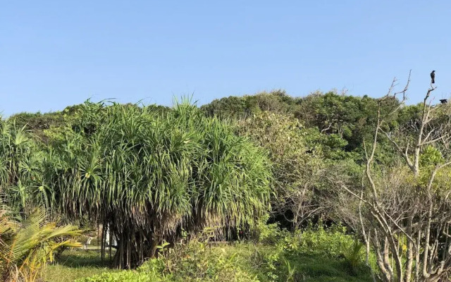 Bliss Bay Nilaveli