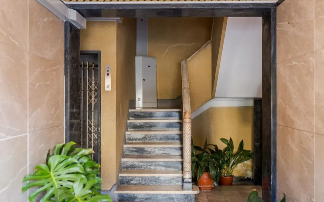 Master Deco Gem in Graça