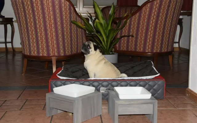Guesthouse Dalnig