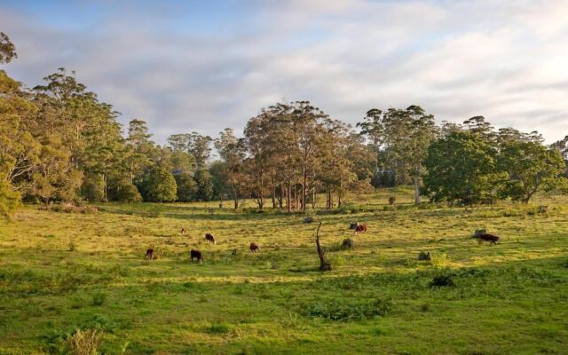The Castle On Tamborine