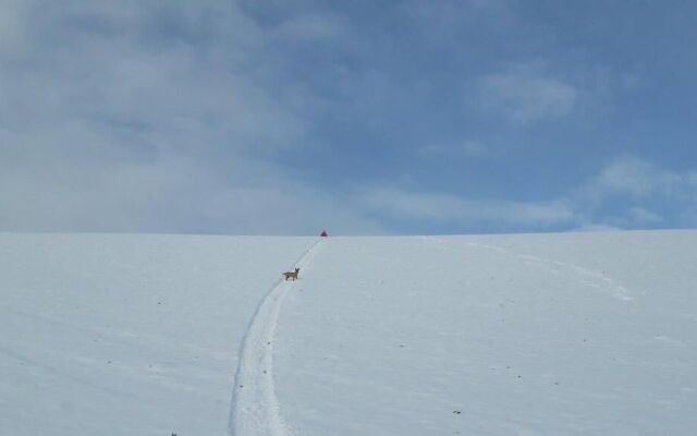Azienda Agrituristica Colle San Giorgio