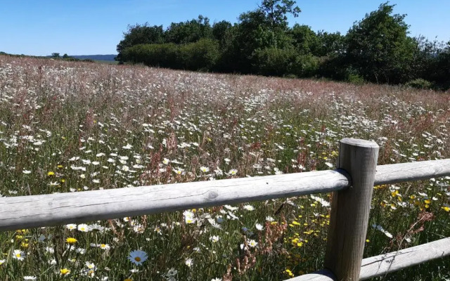 Gîte Saint-Calais-du-Désert, 4 pièces, 6 personnes - FR-1-600-161