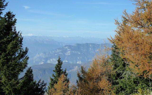 Wooden chalet in Pieve Tesino with garden