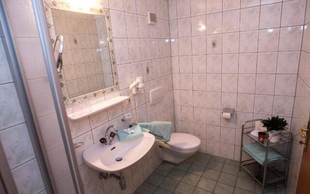 Apartpension Almhof und Reithof Pitztal