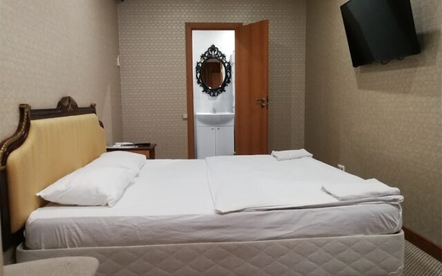 Baumanskaya mini hotel