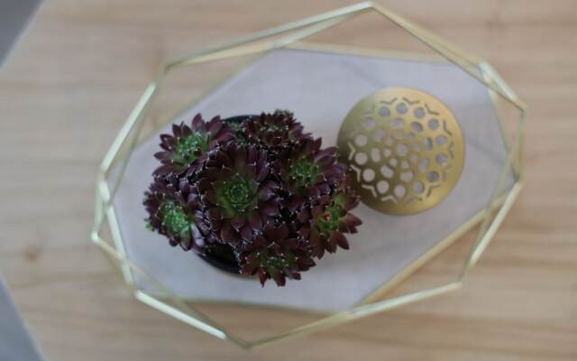 San Vicente Apartments