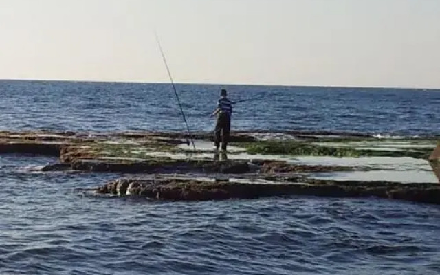 Grandma Vita's Holiday Apartment