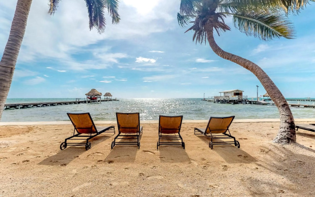 Saponaria 21-22 at Caribe Island Gold Standard Certified