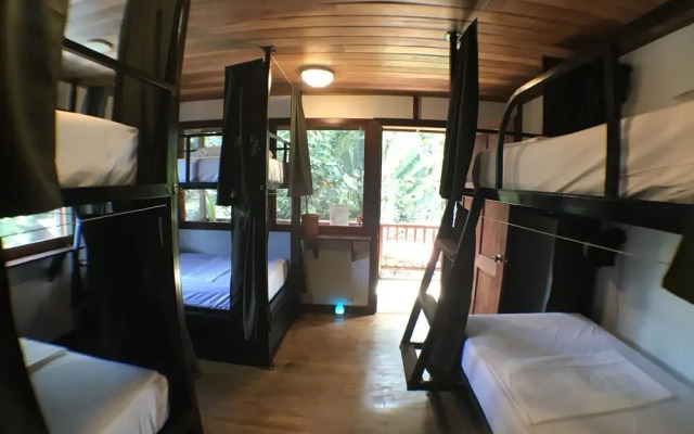 Bambuda Lodge - Hostel
