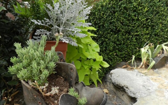 Chambre d'hôtes lavande