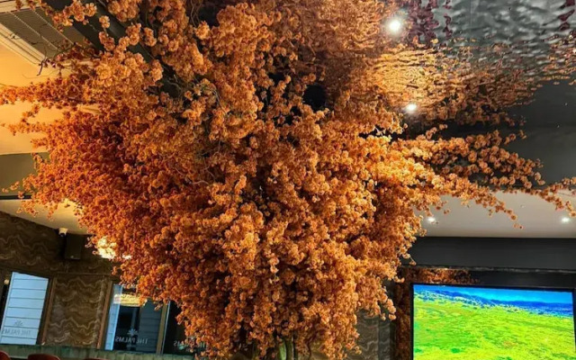 Palms Hotel & Retreat By Palette London Romford