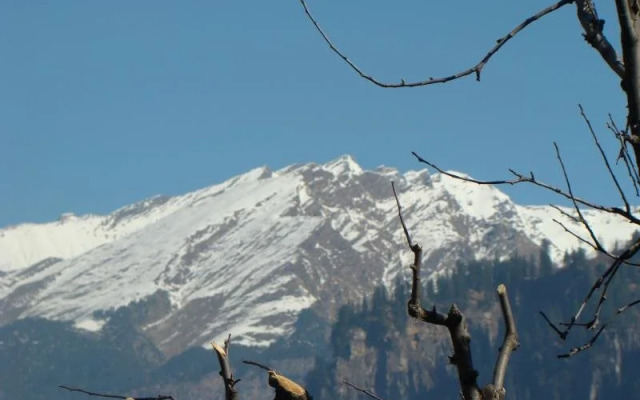 Dewdrop Himalayan Ecstasy