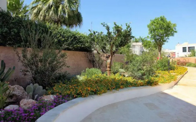 The Courtyard - Rosa