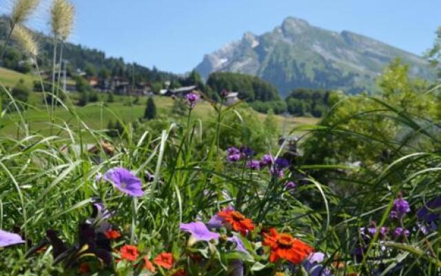 Chalet-Hôtel du Borderan