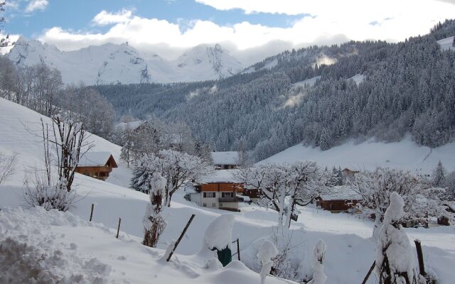 Cozy Chalet in Grand-Bornand with Garden Furniture