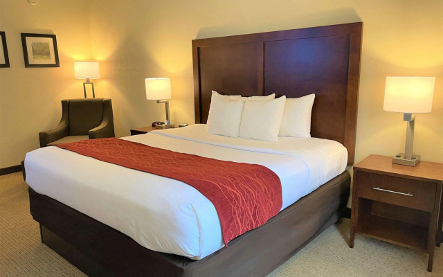 Comfort Inn & Suites Rogersville