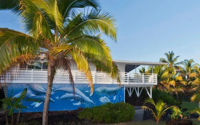 Hilo Whale House