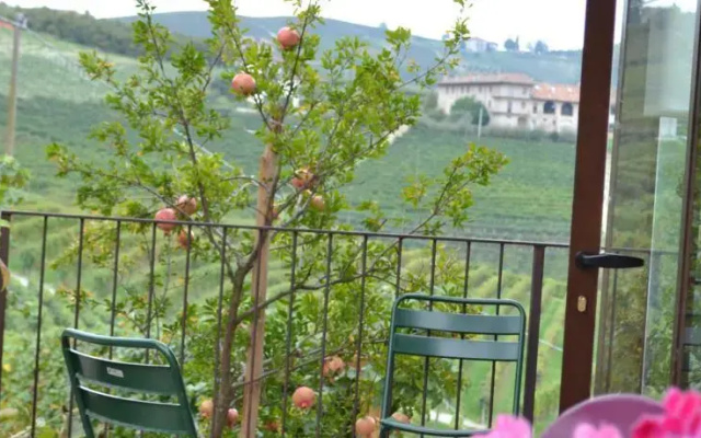 Agriturismo Il Cortile