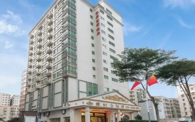 The King Lycra Hotel