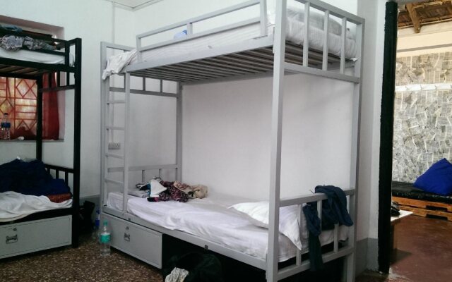 The Lazy Llama Hostel