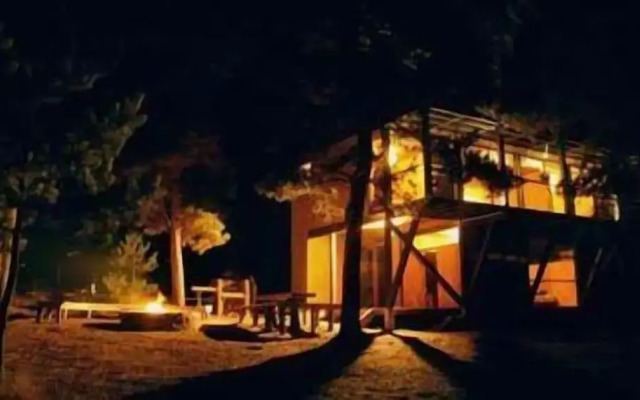Surf Lodge Posada Punta de Lobos