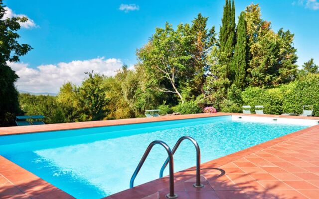 Bardeggiano - Caterina 7 (COL240)