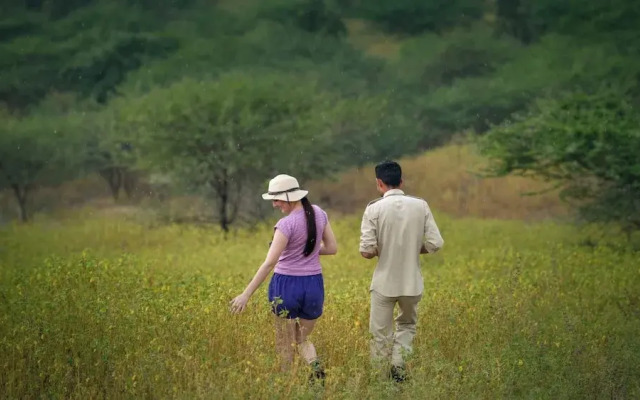 The Postcard Gir Wildlife Sanctuary