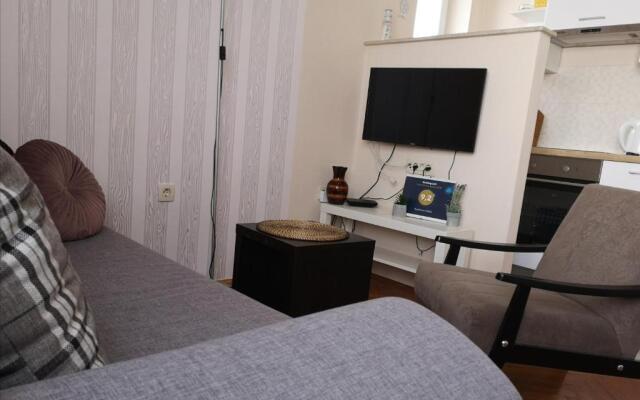 Apartment Nika