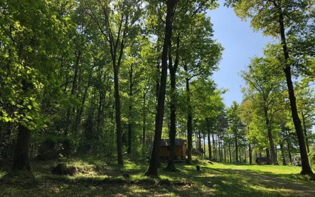 Camping Osenbach